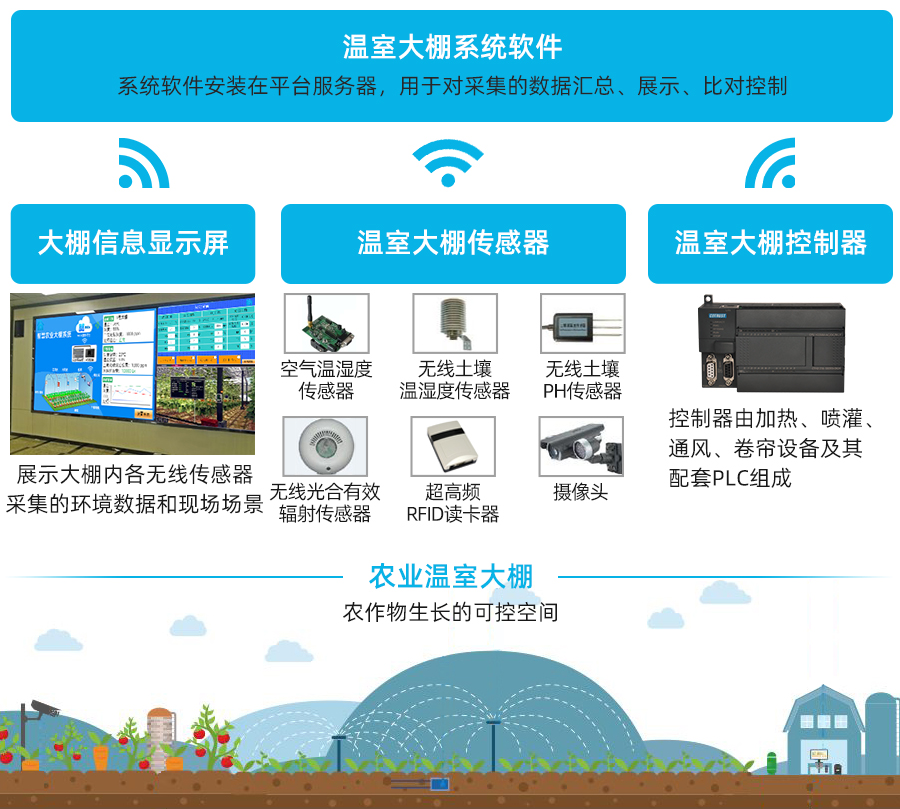 系统组成.jpg